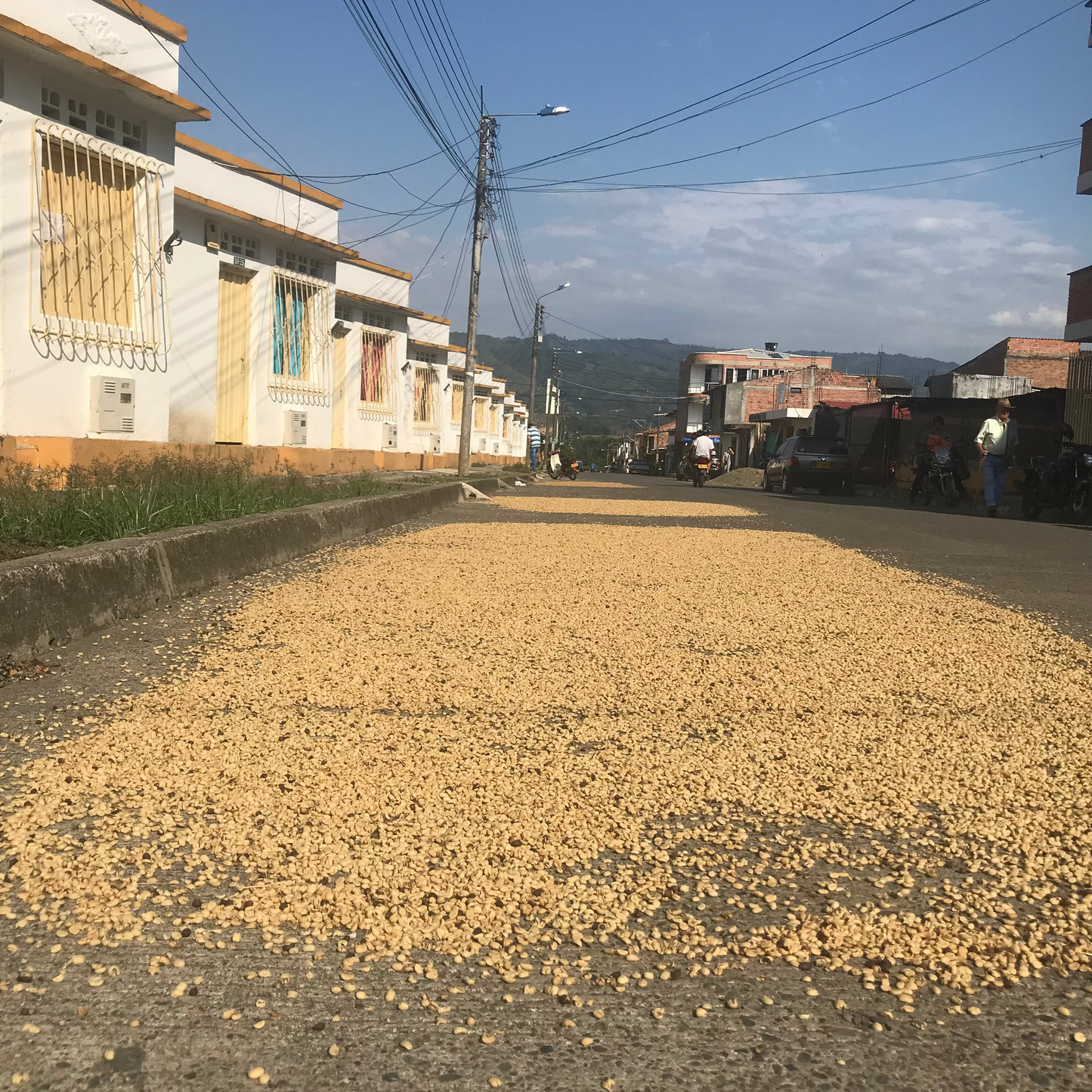 Origin: Colombia